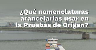¿Qué nomenclaturas arancelarias usar en la Pruebas de Origen?